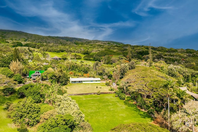 aerial view with a wooded view