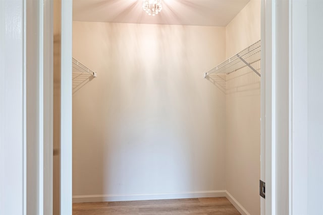 spacious closet featuring light hardwood / wood-style floors