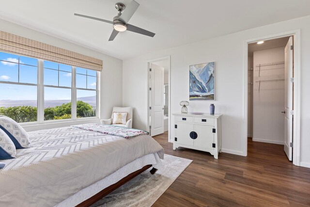 115 Nanu Pl, Wailuku, HI 96793 - bedroom featuring dark wood-style floors, a walk in closet, and ceiling fan