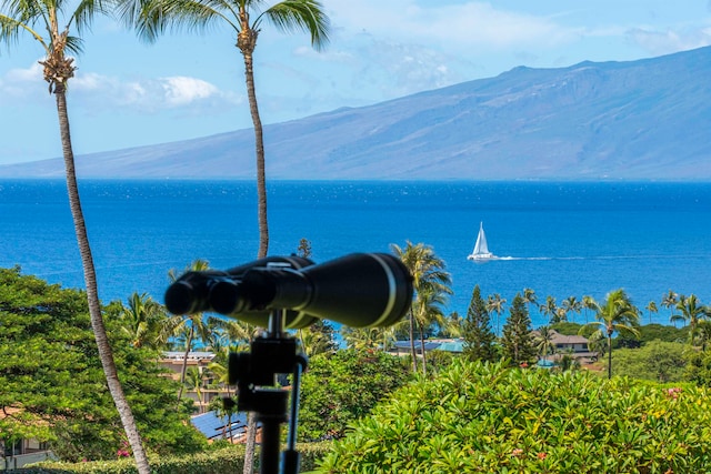 property view of water featuring a mountain view