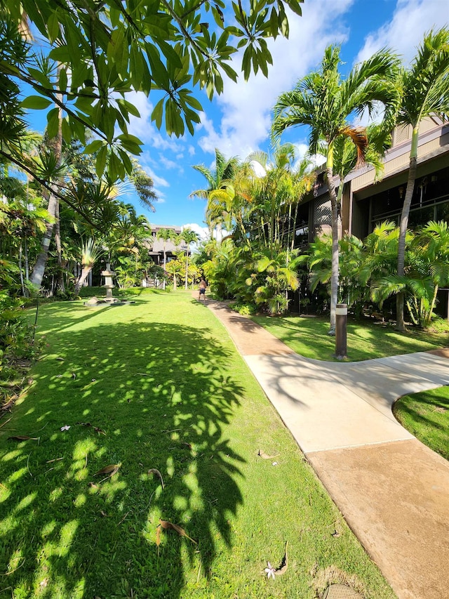 view of property's community with a yard