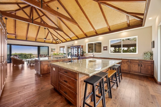 kitchen with a wealth of natural light, dark hardwood / wood-style flooring, sink, and a large island with sink