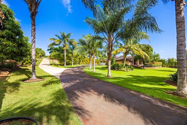 view of community with a lawn