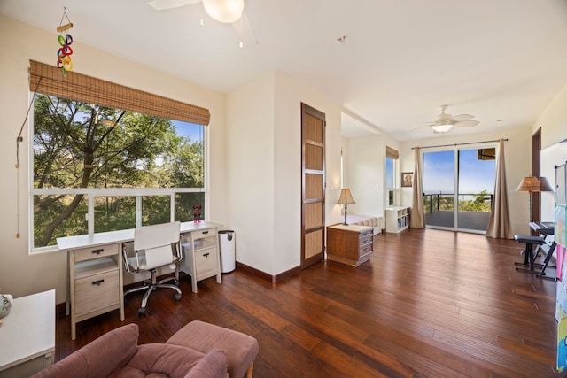 office space with dark hardwood / wood-style floors and ceiling fan