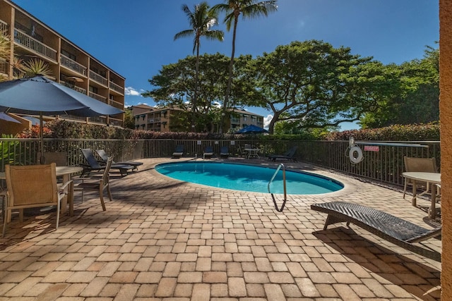 view of pool with a patio area