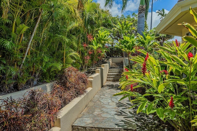 view of yard with stairway