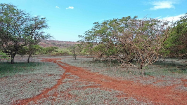 Hao Keehi Pl Lot # 222, Maunaloa, HI 96770