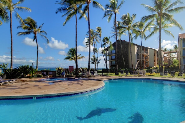 view of swimming pool with a patio area