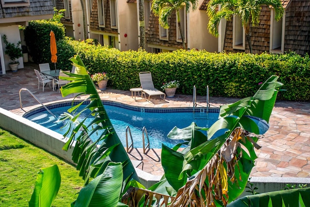 view of pool with a patio