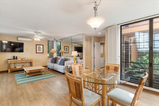 dining area with wood-type flooring, plenty of natural light, floor to ceiling windows, and a textured ceiling