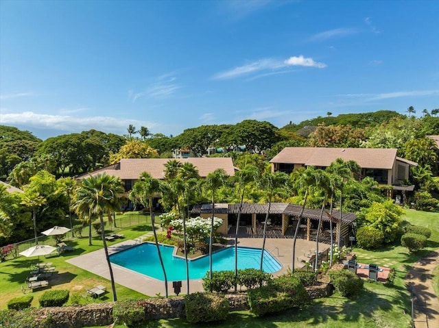 view of swimming pool featuring a patio area and a lawn