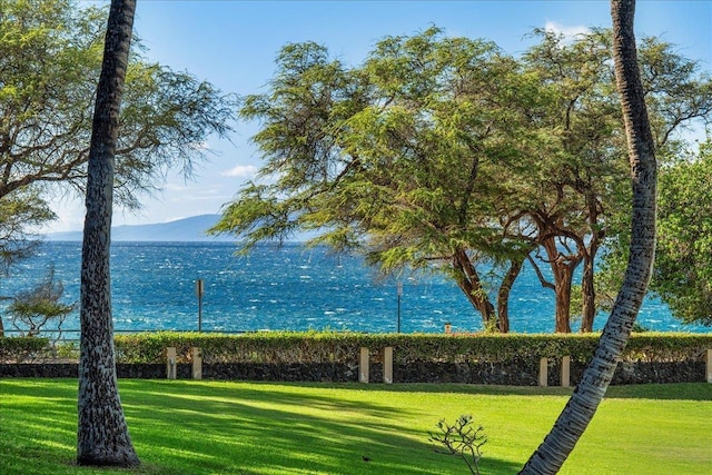 view of home's community with a lawn and a water and mountain view
