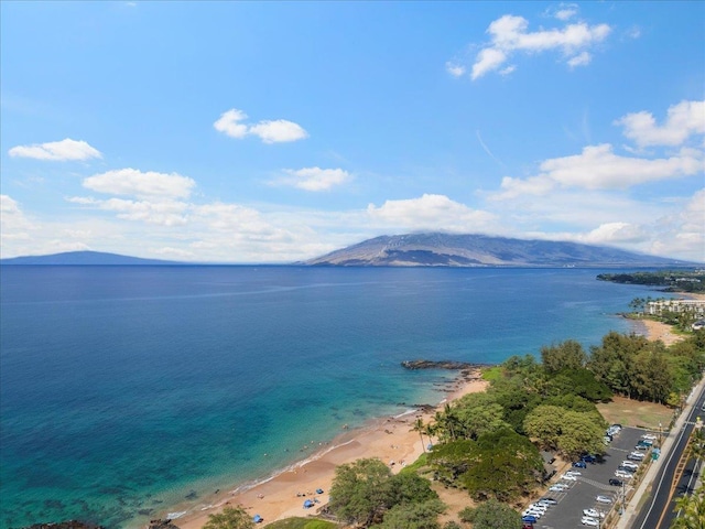 view of water feature with a beach view and a mountain view