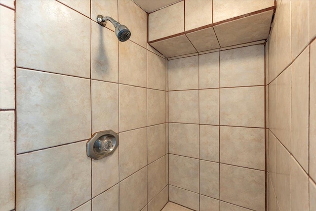 details with tiled shower