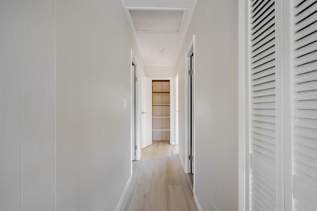 hall with light hardwood / wood-style floors