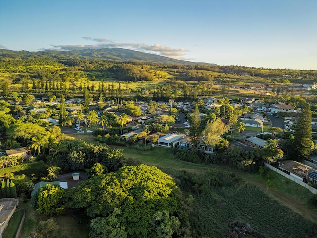 birds eye view of property featuring a mountain view