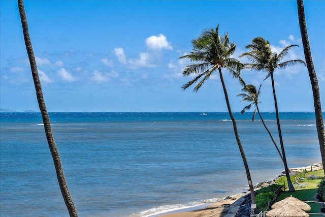 water view with a view of the beach