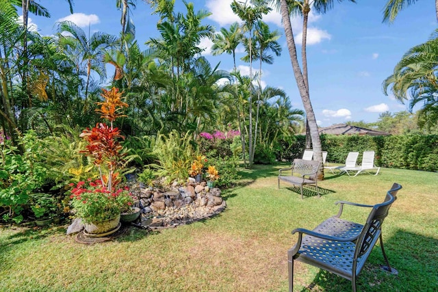 2575 S Kihei Rd Unit P-104, Kihei, HI 96753 - view of green lawn