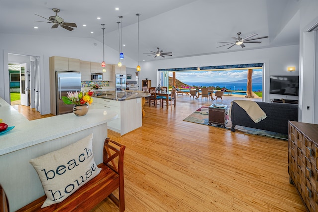 interior space with ceiling fan, vaulted ceiling, and light hardwood / wood-style flooring