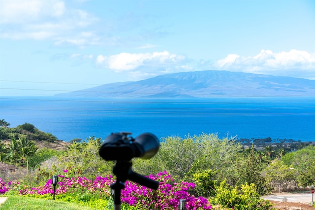 property view of water featuring a mountain view