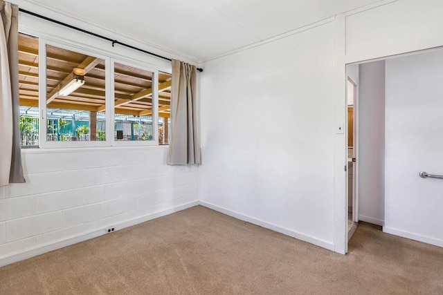 empty room featuring baseboards and carpet flooring