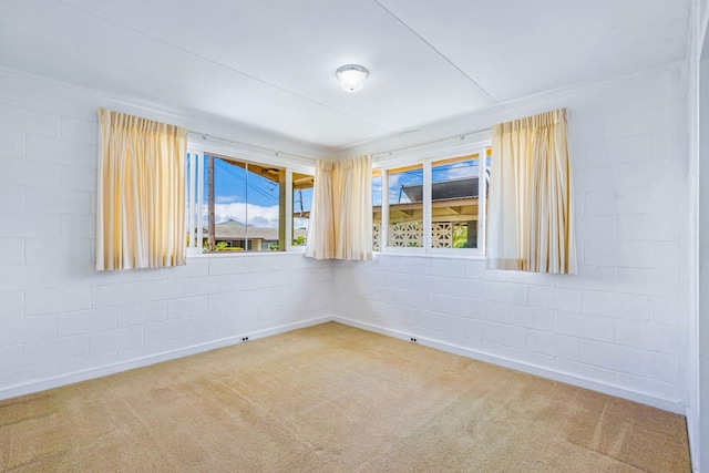 empty room featuring carpet floors and concrete block wall