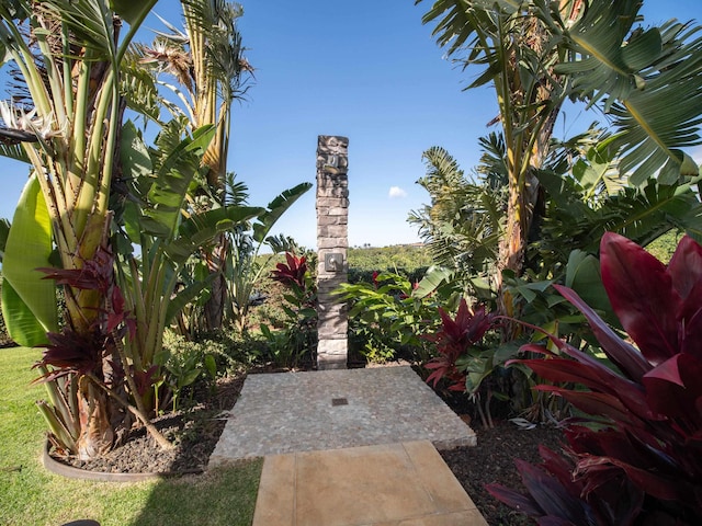 view of yard with a patio area