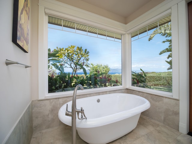 bathroom with a bath and a wealth of natural light