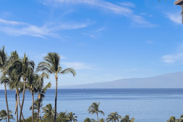 water view with a mountain view