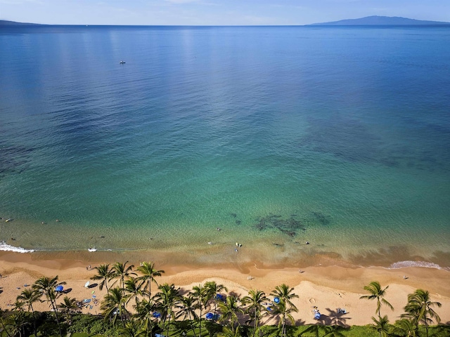 property view of water featuring a mountain view