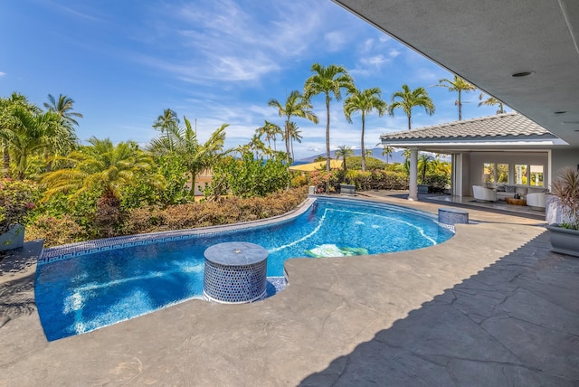 view of pool featuring a patio