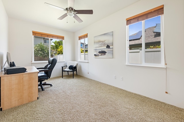 124 Kapela Pl, Kahului, HI 96732 - office area featuring a wealth of natural light, a ceiling fan, and carpet floors