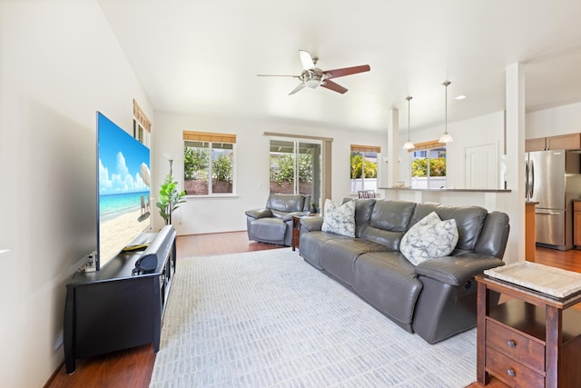 124 Kapela Pl, Kahului, HI 96732 - living room featuring wood finished floors and a ceiling fan