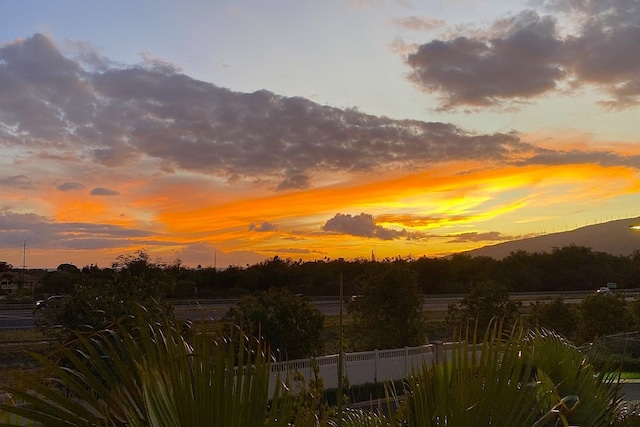 view of nature at dusk