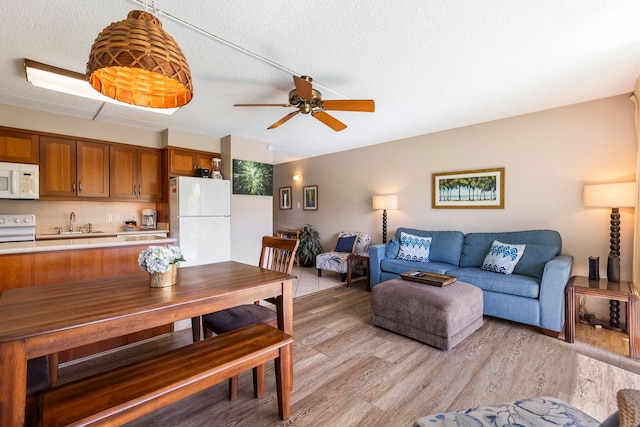 dining space featuring ceiling fan, sink, a textured ceiling, and light hardwood / wood-style flooring