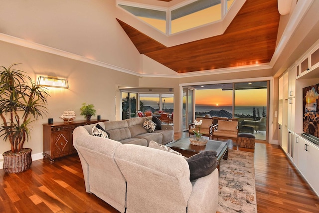 living room featuring high vaulted ceiling and dark hardwood / wood-style flooring