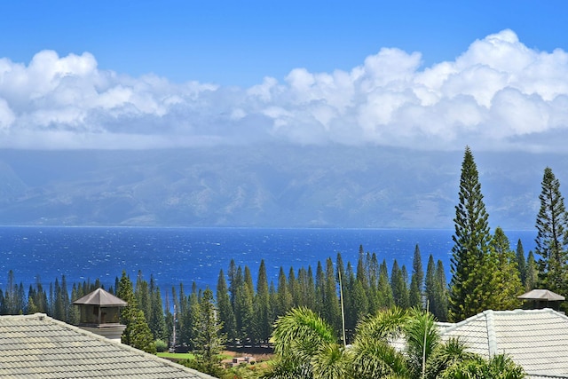104 Woodrose Pl, Lahaina, HI 96761 - view of water feature