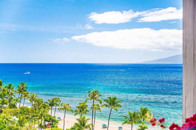 property view of water with a beach view and a mountain view