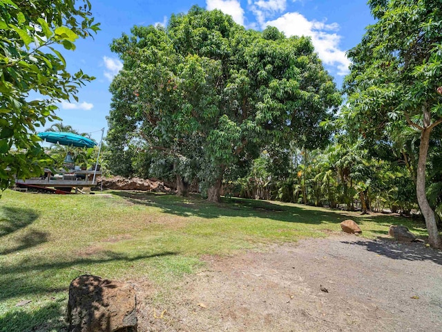 3100 Mapu Pl, Kihei, HI 96753 - view of green lawn