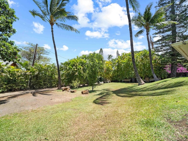 3100 Mapu Pl, Kihei, HI 96753 - view of green lawn