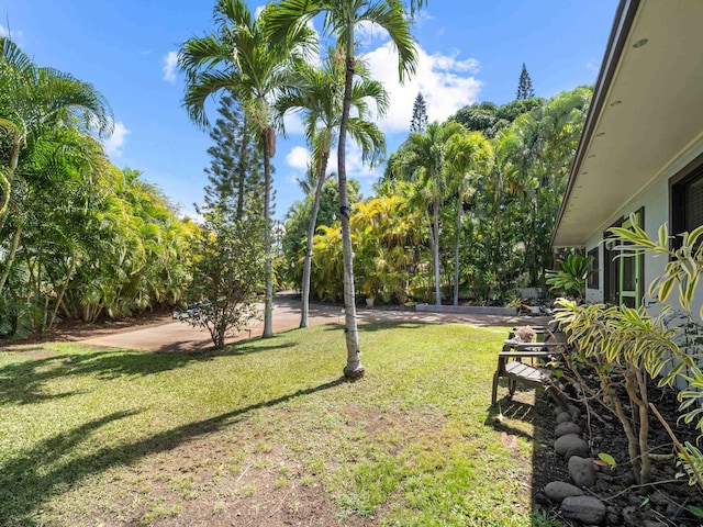 3100 Mapu Pl, Kihei, HI 96753 - view of grassy yard