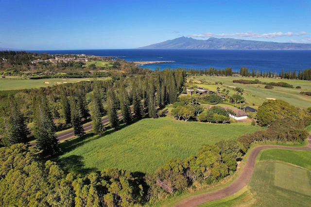 309 Plantation Estates Dr, Lahaina HI, 96761 land for sale