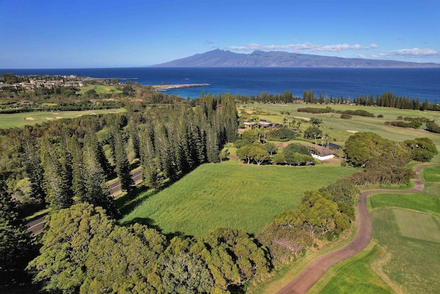 Listing photo 2 for 309 Plantation Estates Dr, Lahaina HI 96761