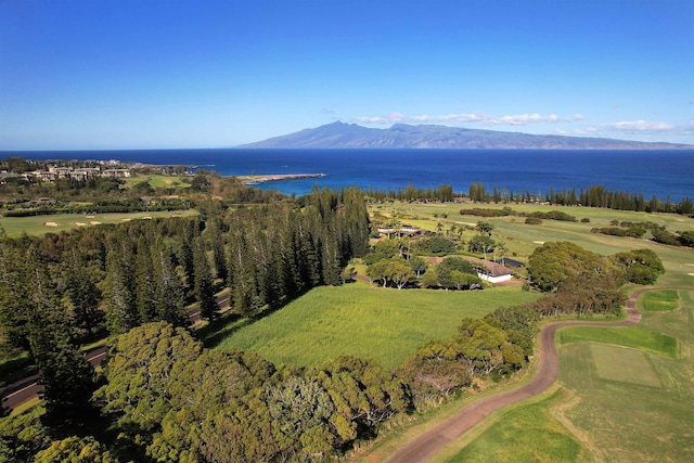 Listing photo 3 for 309 Plantation Estates Dr, Lahaina HI 96761