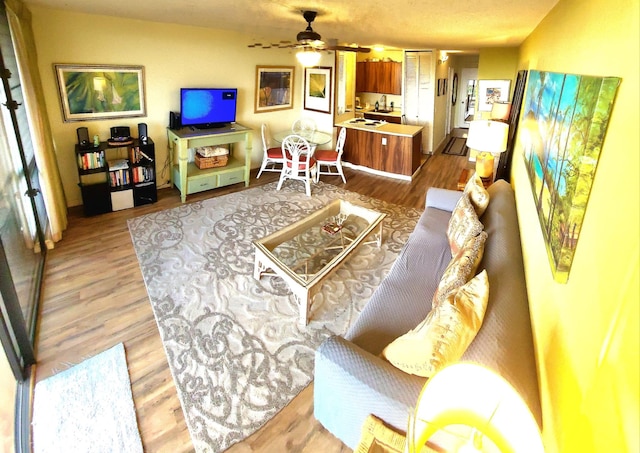 living room with ceiling fan and light wood-type flooring