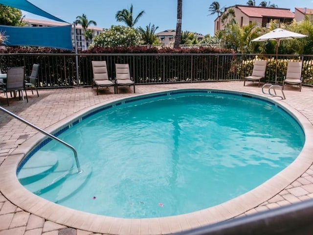 view of swimming pool with a patio area