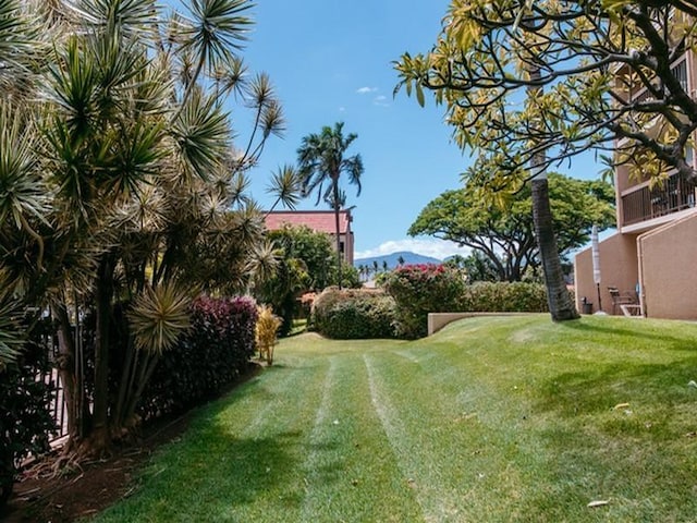 view of yard with a mountain view