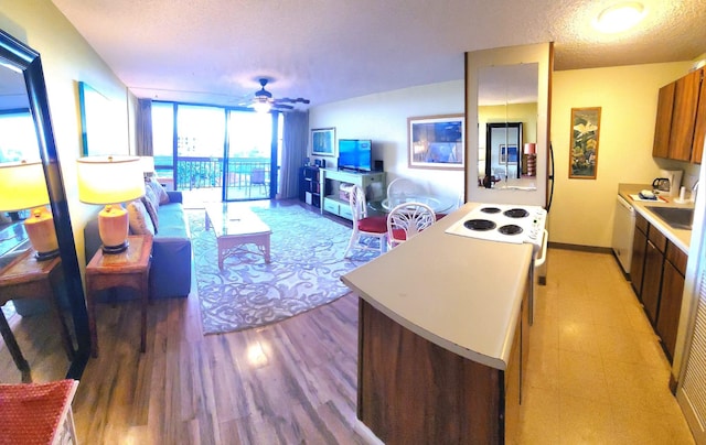 living room with ceiling fan, a wall of windows, a textured ceiling, and light wood-type flooring