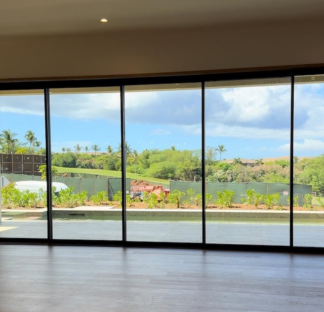 details featuring a water view and hardwood / wood-style flooring