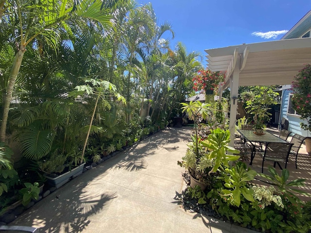 view of patio featuring a pergola